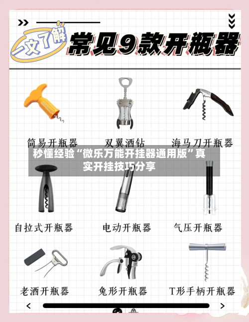 秒懂经验“微乐万能开挂器通用版”真实开挂技巧分享-第1张图片