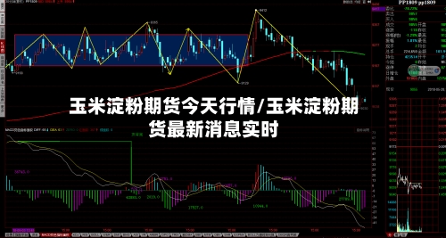 玉米淀粉期货今天行情/玉米淀粉期货最新消息实时-第1张图片