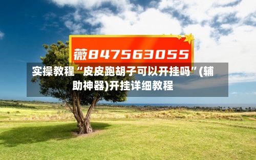 实操教程“皮皮跑胡子可以开挂吗	”(辅助神器)开挂详细教程-第1张图片