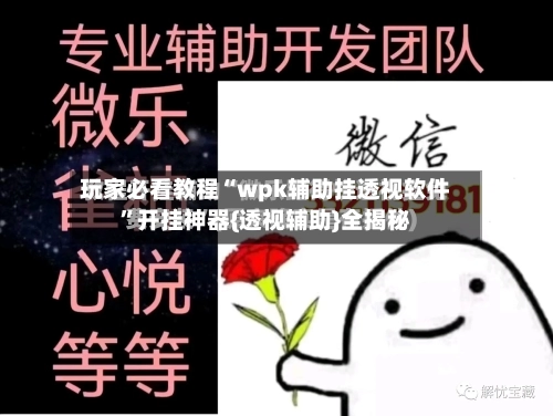 玩家必看教程“wpk辅助挂透视软件	”开挂神器{透视辅助}全揭秘-第1张图片