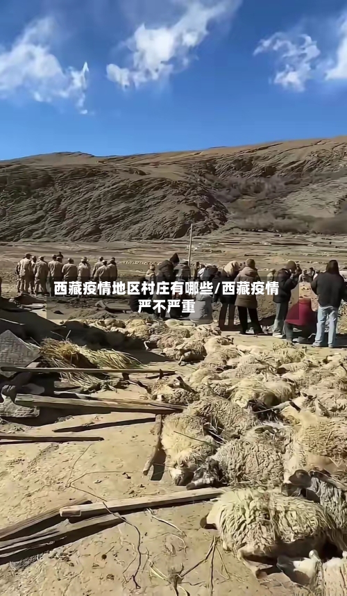 西藏疫情地区村庄有哪些/西藏疫情严不严重-第1张图片