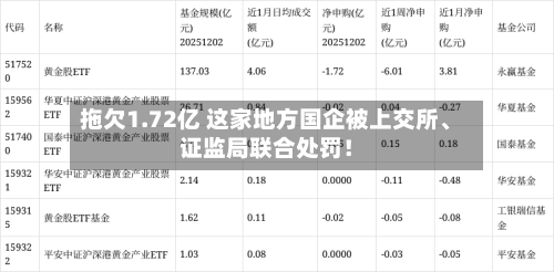 拖欠1.72亿 这家地方国企被上交所	、证监局联合处罚！-第1张图片