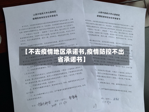 【不去疫情地区承诺书,疫情防控不出省承诺书】-第1张图片