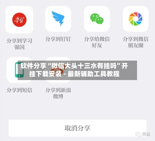 软件分享“微信大头十三水有挂吗”开挂下载安装 - 最新辅助工具教程-第1张图片