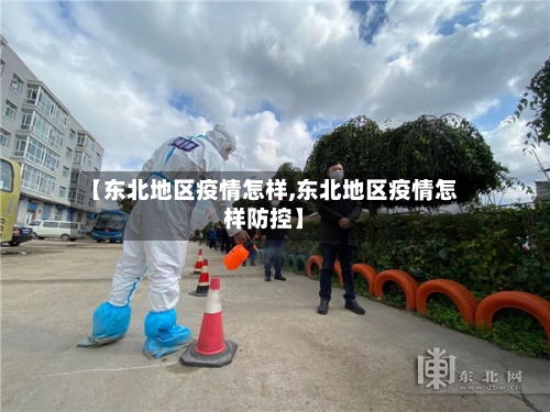 【东北地区疫情怎样,东北地区疫情怎样防控】-第1张图片