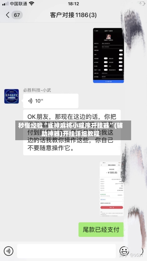 秒懂经验“雀神麻将小程序开挂器”(辅助神器)开挂详细教程-第1张图片