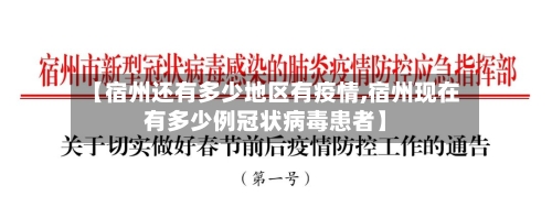 【宿州还有多少地区有疫情,宿州现在有多少例冠状病毒患者】-第1张图片