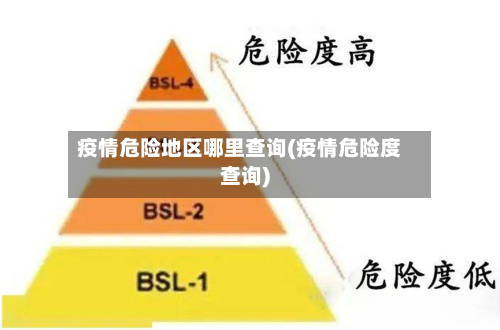 疫情危险地区哪里查询(疫情危险度查询)-第1张图片