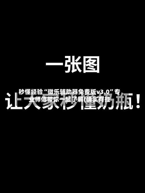 秒懂经验“微乐辅助器免费版v3.0”专业师傅带你一起了解(确实有挂-第1张图片