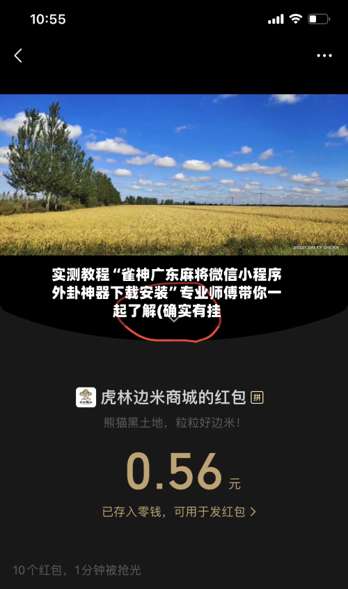 实测教程“雀神广东麻将微信小程序外卦神器下载安装	”专业师傅带你一起了解(确实有挂-第1张图片