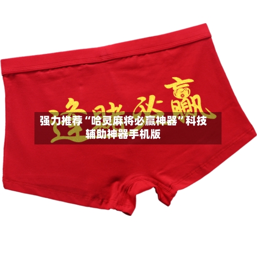 强力推荐“哈灵麻将必赢神器	”科技辅助神器手机版-第1张图片