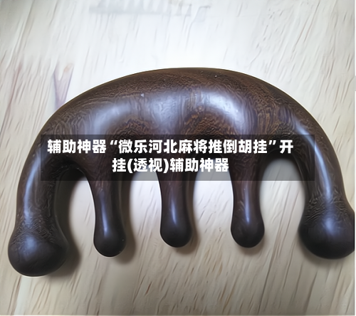 辅助神器“微乐河北麻将推倒胡挂	”开挂(透视)辅助神器-第1张图片