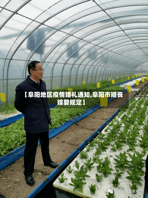 【阜阳地区疫情婚礼通知,阜阳市婚丧嫁娶规定】-第1张图片