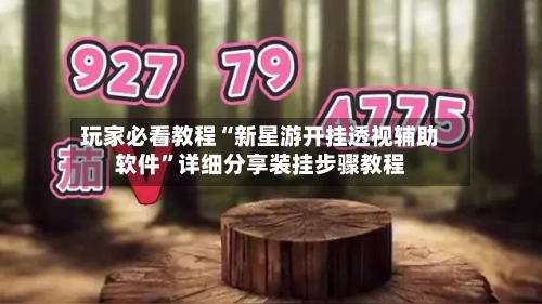 玩家必看教程“新星游开挂透视辅助软件	”详细分享装挂步骤教程-第1张图片