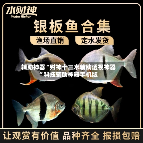 辅助神器“财神十三水辅助透视神器”科技辅助神器手机版-第1张图片