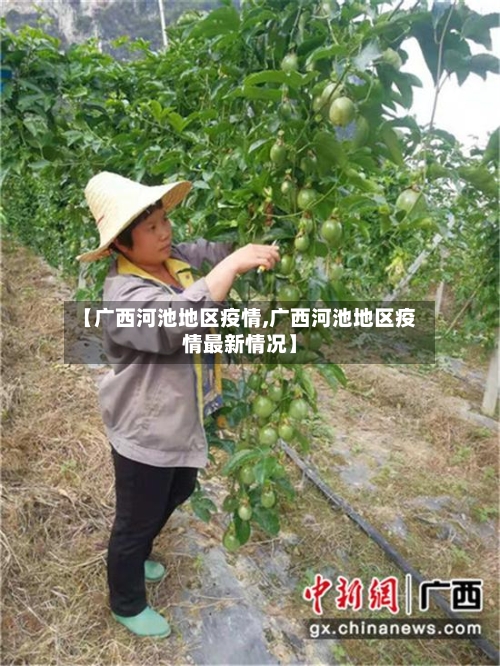 【广西河池地区疫情,广西河池地区疫情最新情况】-第1张图片