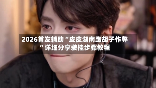 2026首发辅助“皮皮湖南跑胡子作弊”详细分享装挂步骤教程-第1张图片