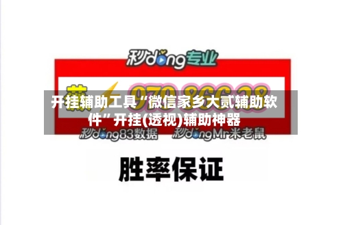 开挂辅助工具“微信家乡大贰辅助软件”开挂(透视)辅助神器-第1张图片