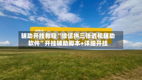 辅助开挂教程“微信拼三张透视辅助软件”开挂辅助脚本+详细开挂-第1张图片