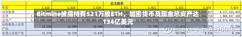 Bitmine披露持有521万枚ETH，加密货币及现金总资产达134亿美元-第1张图片