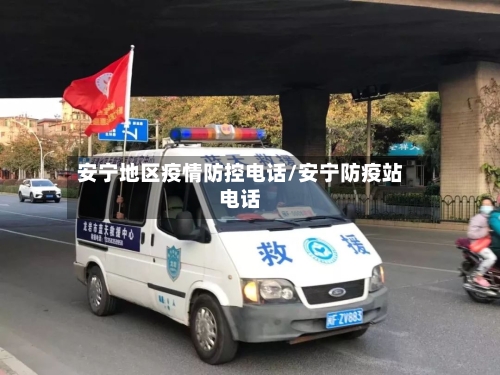 安宁地区疫情防控电话/安宁防疫站电话-第1张图片