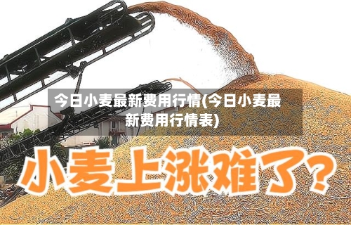 今日小麦最新费用行情(今日小麦最新费用行情表)-第1张图片