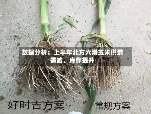 数据分析：上半年北方六港玉米供增需减、库存提升-第1张图片