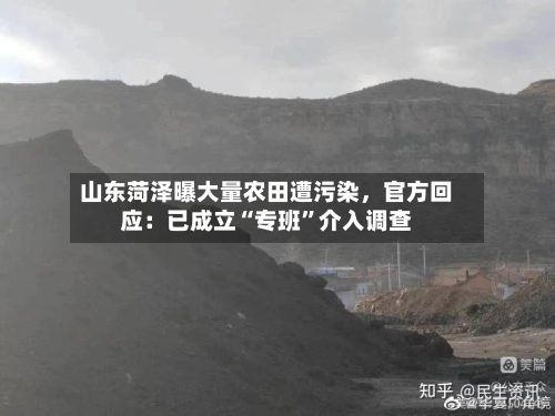 山东菏泽曝大量农田遭污染	，官方回应：已成立“专班”介入调查-第1张图片