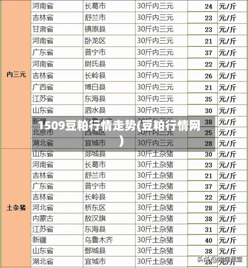 1509豆粕行情走势(豆粕行情网)-第1张图片