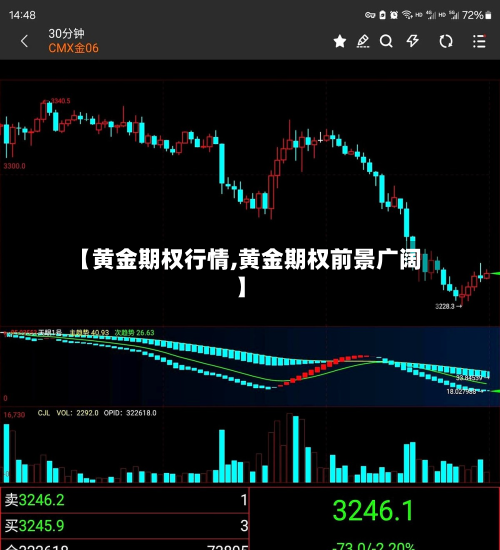【黄金期权行情,黄金期权前景广阔】-第1张图片