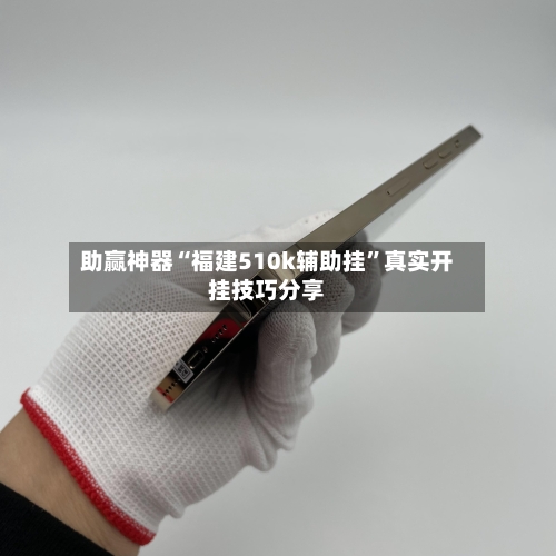 助赢神器“福建510k辅助挂”真实开挂技巧分享-第1张图片