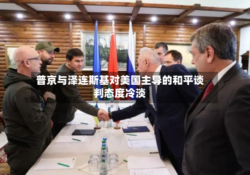 普京与泽连斯基对美国主导的和平谈判态度冷淡-第1张图片