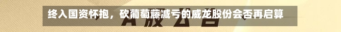 终入国资怀抱，砍葡萄藤减亏的威龙股份会否再启算力跨界之路？-第1张图片