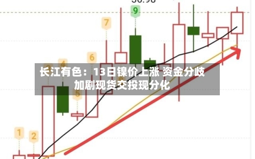 长江有色：13日镍价上涨 资金分歧加剧现货交投现分化-第1张图片