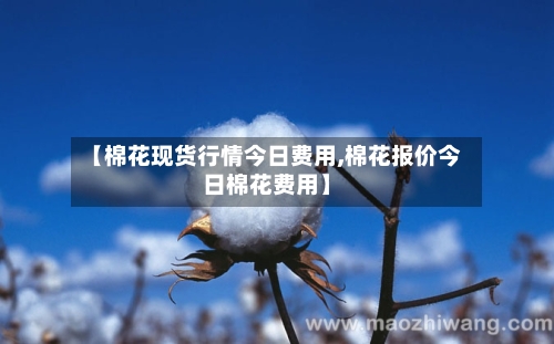 【棉花现货行情今日费用,棉花报价今日棉花费用】-第1张图片