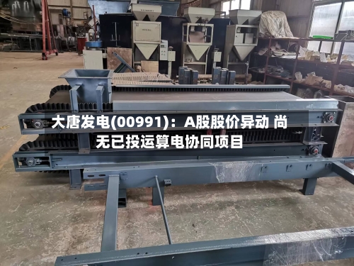 大唐发电(00991)：A股股价异动 尚无已投运算电协同项目-第1张图片