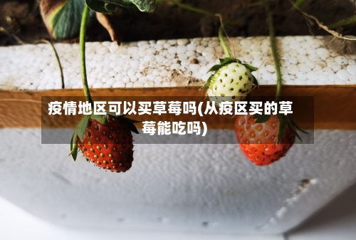 疫情地区可以买草莓吗(从疫区买的草莓能吃吗)-第1张图片