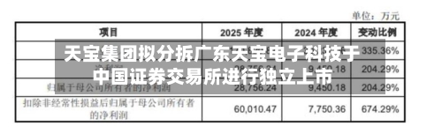 天宝集团拟分拆广东天宝电子科技于中国证券交易所进行独立上市-第1张图片