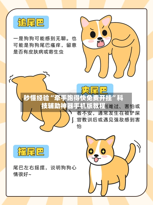 秒懂经验“牵手跑得快免费开挂	”科技辅助神器手机版教程-第1张图片