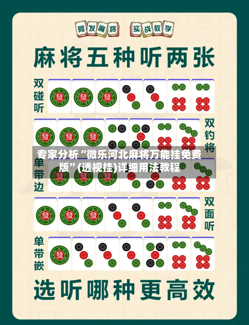 专家分析“微乐河北麻将万能挂免费版”(透视挂)详细用法教程-第1张图片