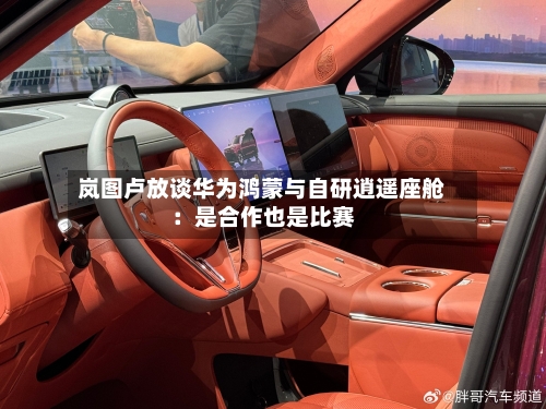 岚图卢放谈华为鸿蒙与自研逍遥座舱:是合作也是比赛-第1张图片