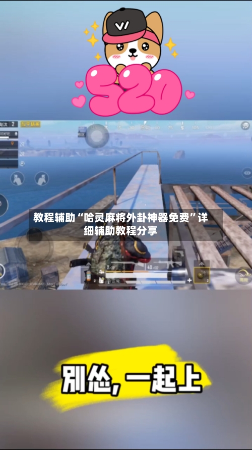 教程辅助“哈灵麻将外卦神器免费”详细辅助教程分享-第1张图片