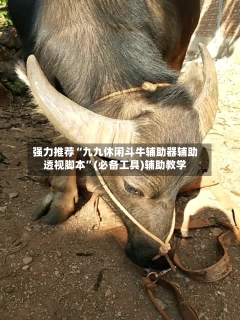 强力推荐“九九休闲斗牛辅助器辅助透视脚本”(必备工具)辅助教学-第1张图片