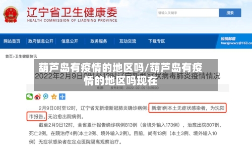 葫芦岛有疫情的地区吗/葫芦岛有疫情的地区吗现在-第1张图片