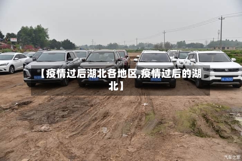 【疫情过后湖北各地区,疫情过后的湖北】-第1张图片
