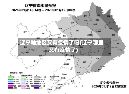 辽宁啥地区又有疫情了呀(辽宁哪里又有疫情了)-第1张图片