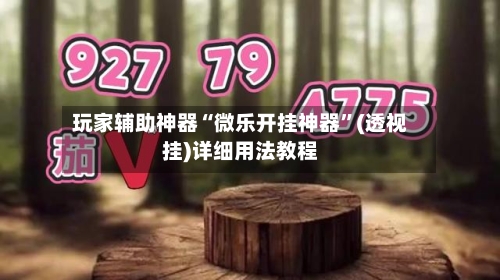 玩家辅助神器“微乐开挂神器”(透视挂)详细用法教程-第1张图片