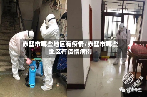 赤壁市哪些地区有疫情/赤壁市哪些地区有疫情病例-第1张图片