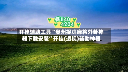 开挂辅助工具“贵州捉鸡麻将外卦神器下载安装”开挂(透视)辅助神器-第1张图片