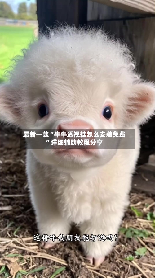 最新一款“牛牛透视挂怎么安装免费”详细辅助教程分享-第1张图片